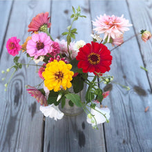 Ladda bild till Gallerivisare, Min blomstertid blomsterabonnemang slowflowers blommor i säsong. Blomsterodlare och florist.