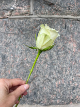 Ladda bild till Gallerivisare, Handbukett
